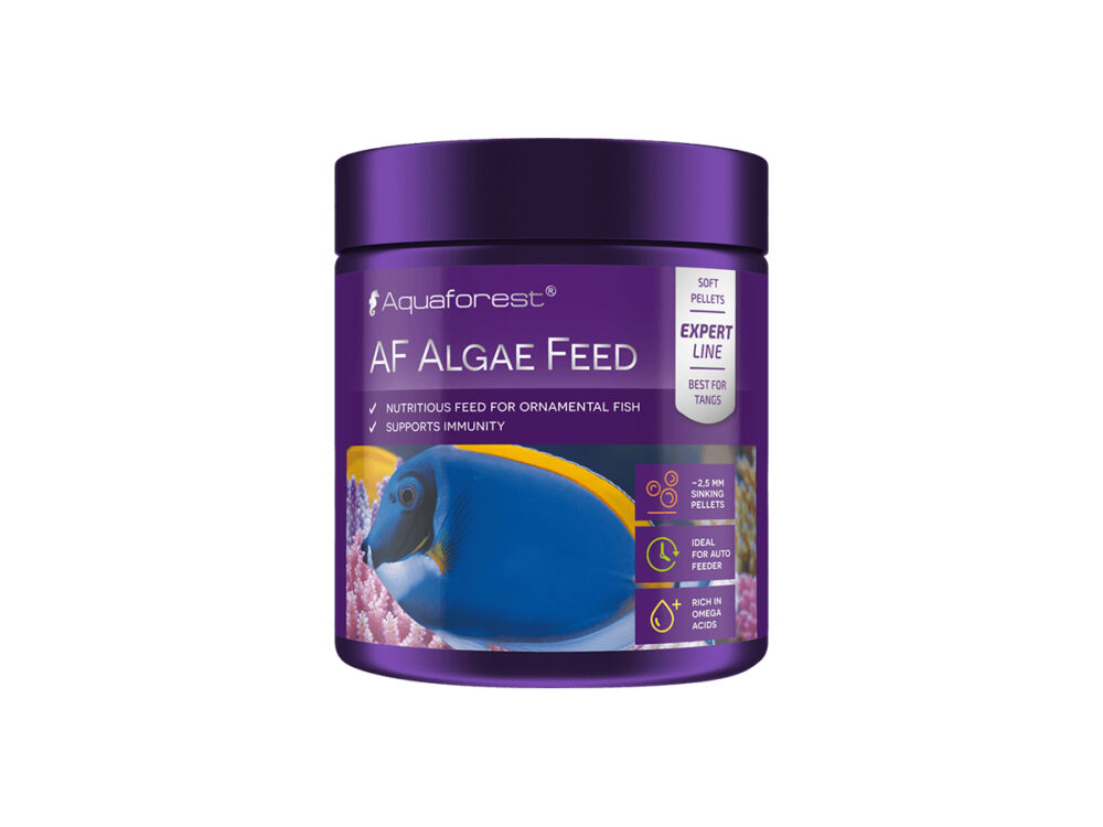 Algae Feed2