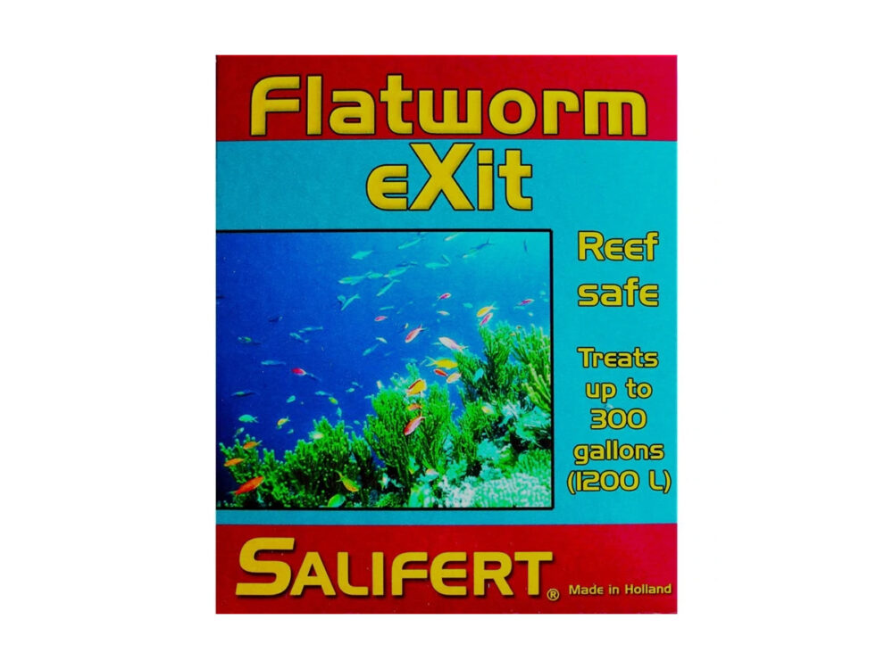 Flatworm 1