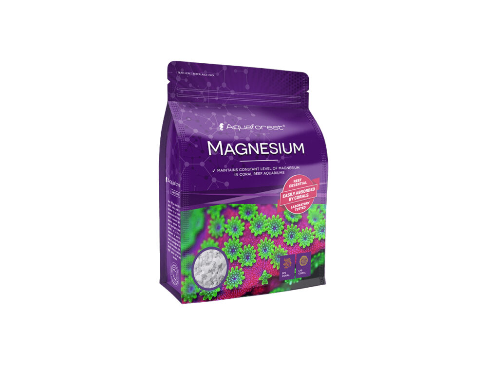 Magnesium2