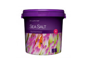 Sea Salt2