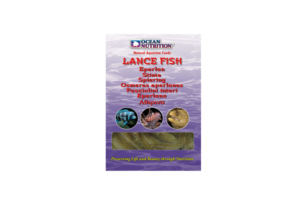 Lance Fish