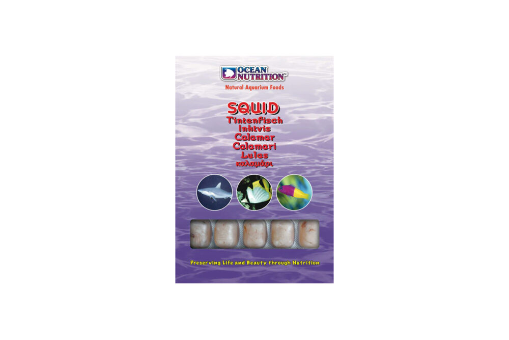 Ocean Nutrition Frozen Squid