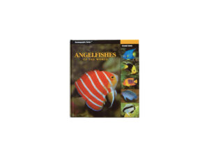 Angelfishes