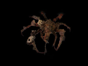 Spider Decorator Crab