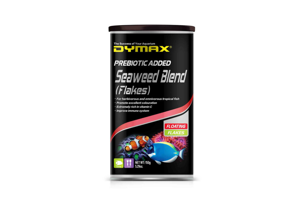 Dymax Seaweed