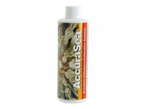 Two Little Fishies AccuraSea Reference Solution