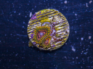 Zoanthids - Grand Master Krakatoa