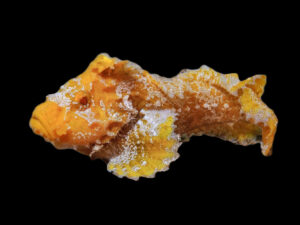 Cart 3 Pillow Velvetfish