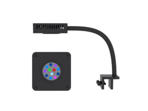 SeaTorch Mini Color LED Light