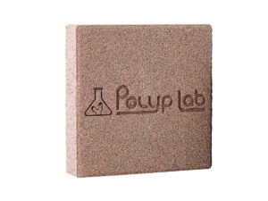 Polyp Lab Genesis Rock