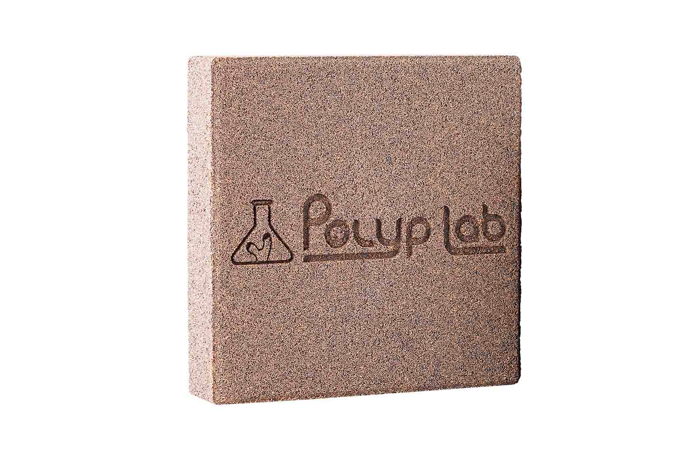 Polyp Lab Genesis Rock 1 Polyp Lab Genesis Rock