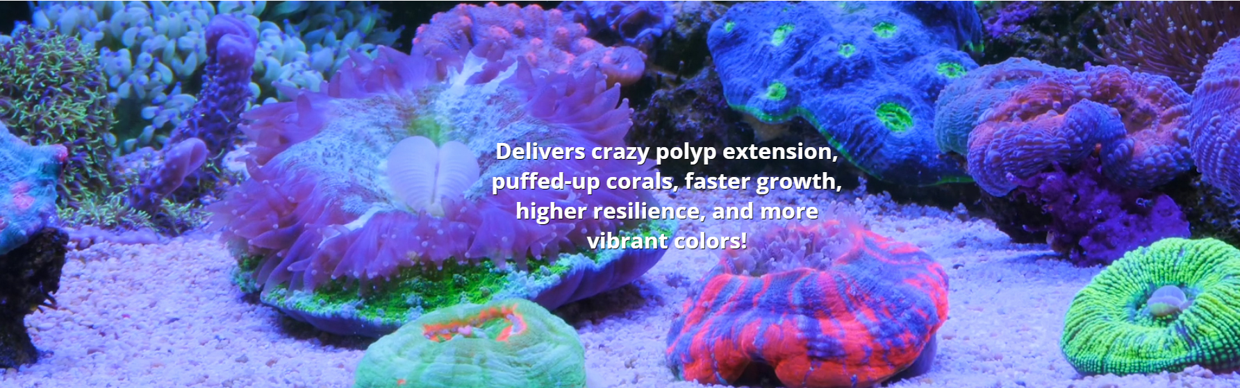 Red Sea Reef Energy AB+ 4 AB3