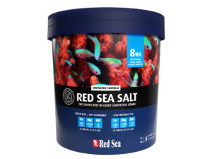 Red Sea Salt