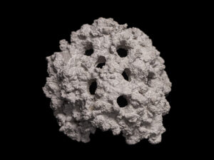 ArtReef Rock Frag Dome