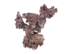 CaribSea LifeRock Nano Tree